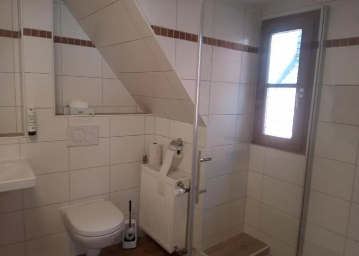 Hotel-restaurant Goldenes Lamm 3*