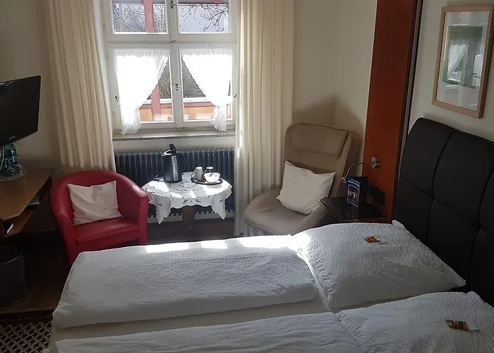 Hotel Hotel-restaurant Goldenes Lamm 3*