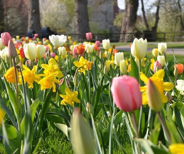Hotel-restaurant Goldenes Lamm