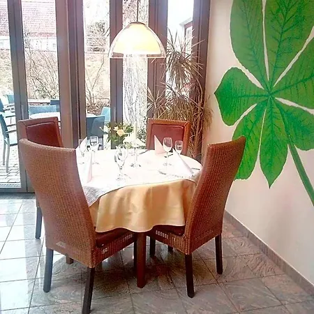 Hotel-restaurant Goldenes Lamm Hotel