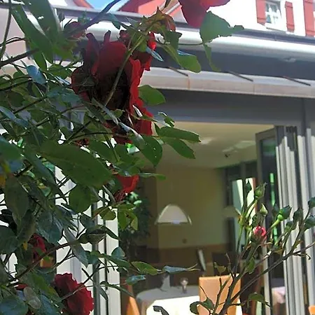 Hotel-restaurant Goldenes Lamm Dinkelsbühl
