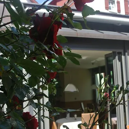 Otel Hotel-restaurant Goldenes Lamm