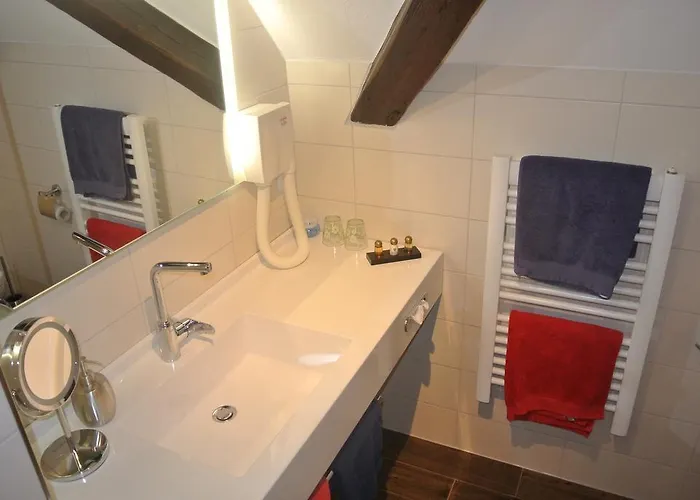 Hotel Hotel-restaurant Goldenes Lamm 3*