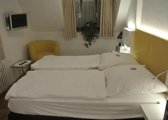 Hotel-restaurant Goldenes Lamm 3*