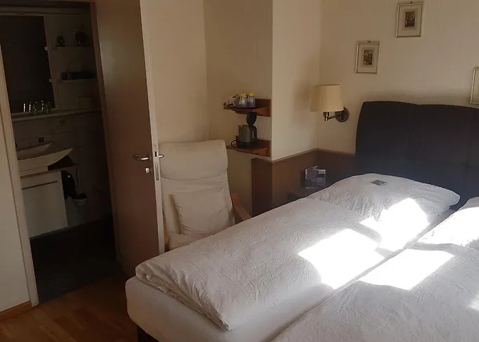 Hotel-restaurant Goldenes Lamm 호텔 딘클스버
