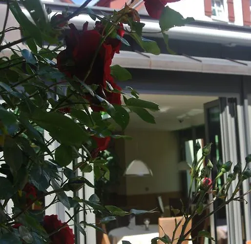 Hotel Hotel-restaurant Goldenes Lamm